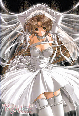 Virgin Bride ~Ochita Hanayome~