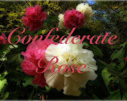 Confederate Rose