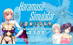 Haramase Simulator