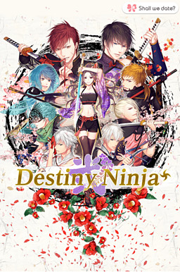 Destiny Ninja 2+